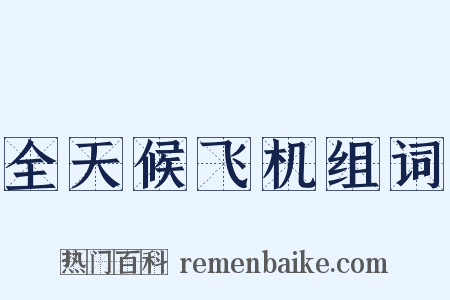 全天候飞机组词是什么意思的图片